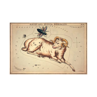Aries And Musca Borealis, 1825 by Sidney Hall - Wrapped Canvas Print