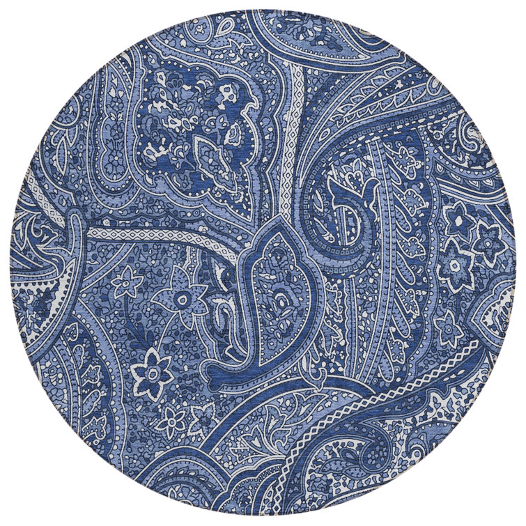 Kinslee Paisley Indoor / Outdoor Rug