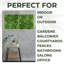 Plastic Wall Decor