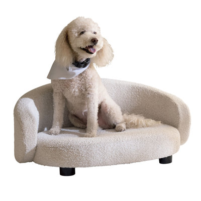 Canapé-lit moderne à dossier en arc de style arc-en-ciel, canapé pour chien et chat avec coussin et accoudoirs capitonnés, mobilier d'intérieur élégant pour animaux de compagnie