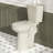 21＂ Extra Tall Toilet 1.28 GPF Elongated Floor Mounted Two-Piece Tall Toilet-109360363