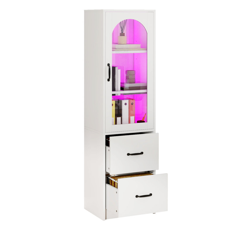 Marcita 2 Drawer File Cabinet, Filing Cabinet With Glass Doors And LED Light