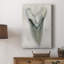 Aquarelle Sharks Tooth II - galerie Cavas-306326099