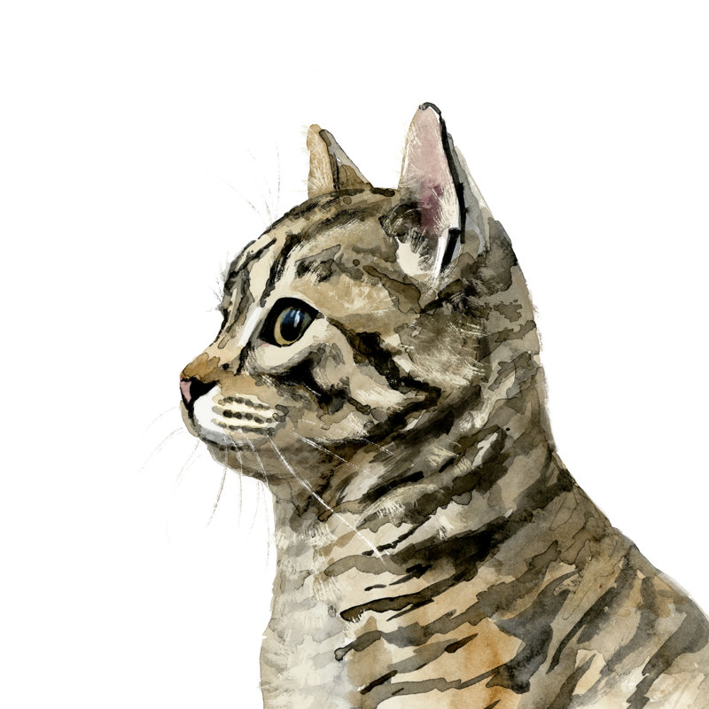 Pet Profile III by Victoria Barnes - Wrapped Canvas Painting, 76cm H x 76cm W