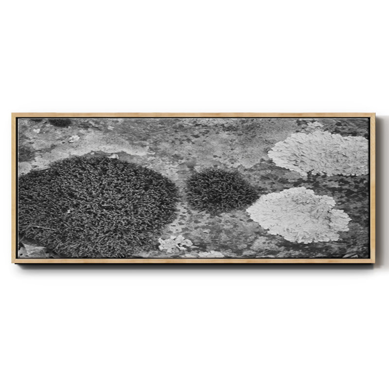 Found Textures XIX- Framed Canvas, 24" H x 60" W