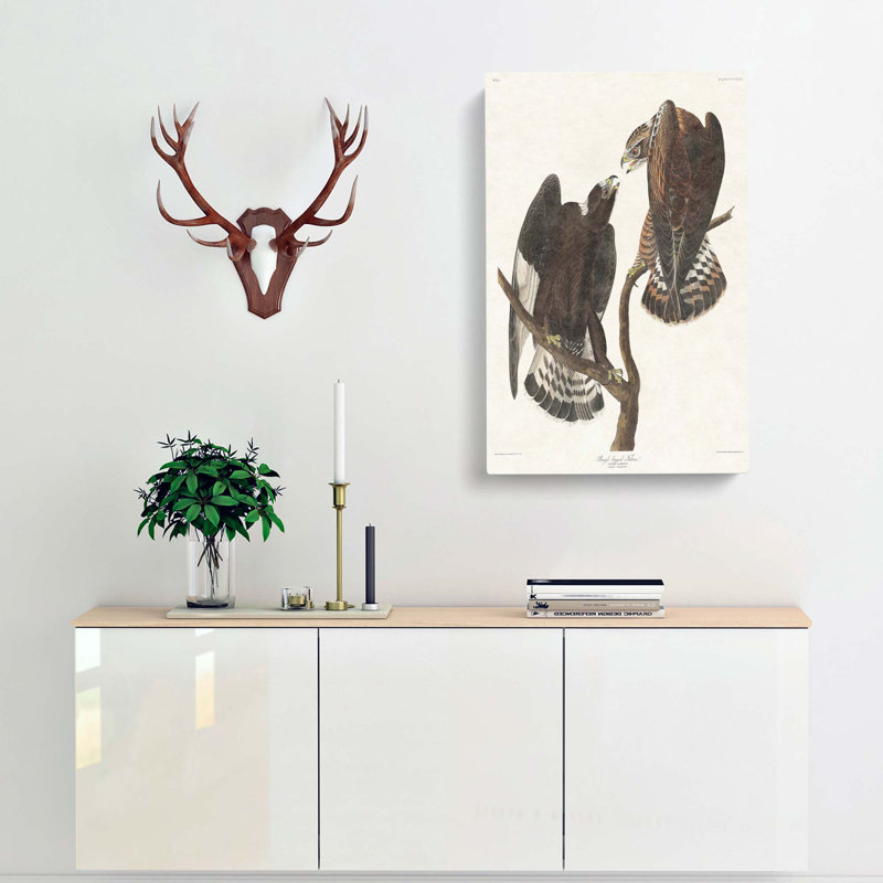 Rough-Legged Falcons by John Audubon - Wrapped Canvas Painting, 50cm H x 35cm W x 3cm D