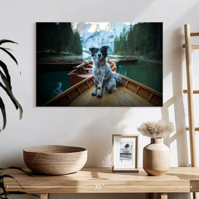 Border collie sur bateau