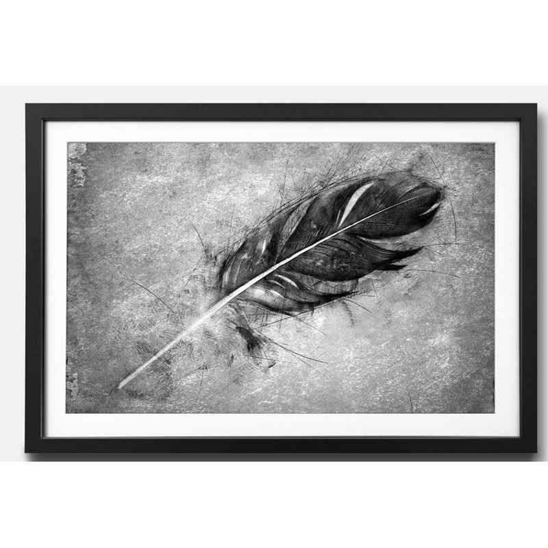 Naturdetails Beautiful Feather 1 Piece Single Picture Frame Wall Art, 64cm H x 84cm W x 2.2cm D