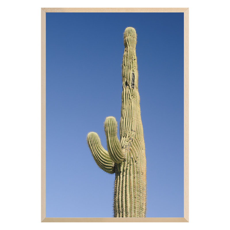 Buckeye, Arizona 7 Print by August Studios
