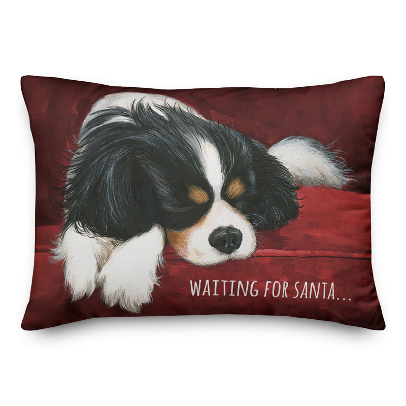  Waiting for Santa Lumbar Pillow, Pillow Cover Only - No Insert
