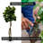Silk Artificial Fiddle Leaf Fig Tree-73559329