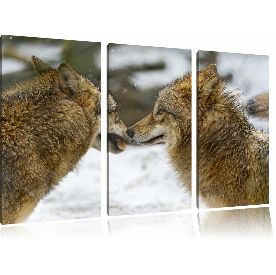 3-tlg. Leinwandbilder-Set „Liebevolle Wölfe im Schnee", Fotodruck