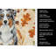 Blue Merle Australian Shepherd Heirloom Fall Kitchen Towel-2083472788