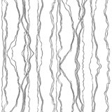 Fault Lines