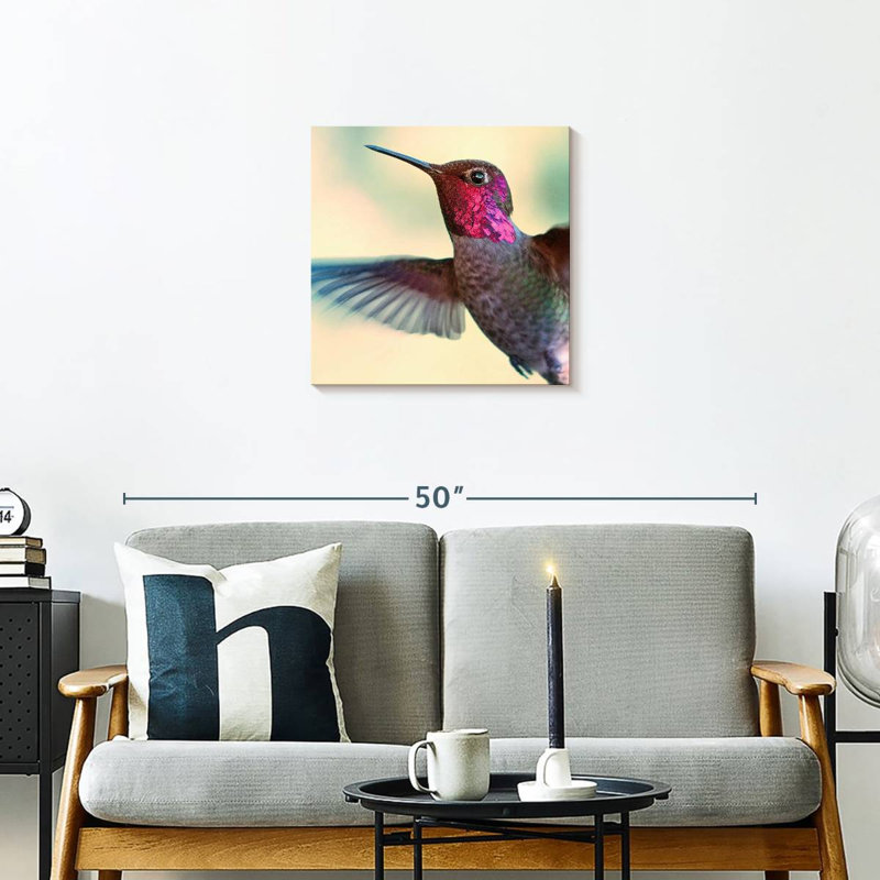 Brampt Flying Anna's Hummingbird, 20" H x 20" W