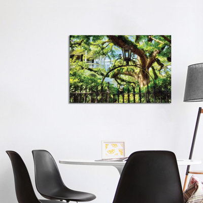 Giant Ivy Covered Oak Tree, Historic District, Charleston, South Carolina by George Oze - Wrapped Canvas Print