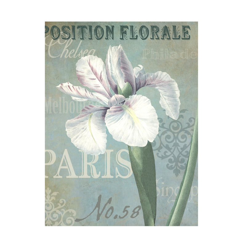 Art mural sur toile tendue - Gail Fraser «Flower Show - Paris 4», art mural pour salon, chambre à coucher ou bureau - 18 x 24