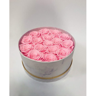 Preserved Natural Rose Rose Arrangement in Pot