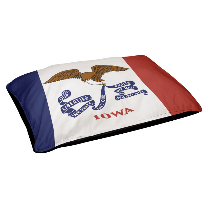 Coussin stylisé iowa flag Burien, L 42 po x l 52 po, Noir