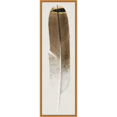 Feather 1 Print by Thom Filicia