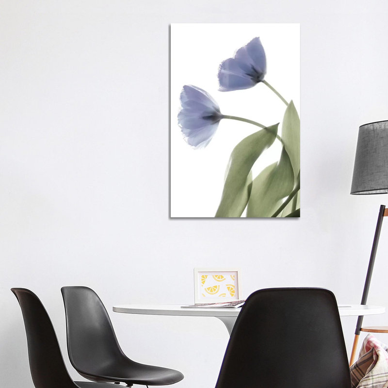 X-Ray Tulip III by Judy Stalus - Wrapped Canvas Print, 101.6 cm H x 66.04 cm W