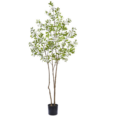 81.5" Rose Myrtle Tree in Plastic Pot White