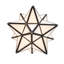 10" Wide Moravian Star Pendant