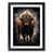 Black Framed selected