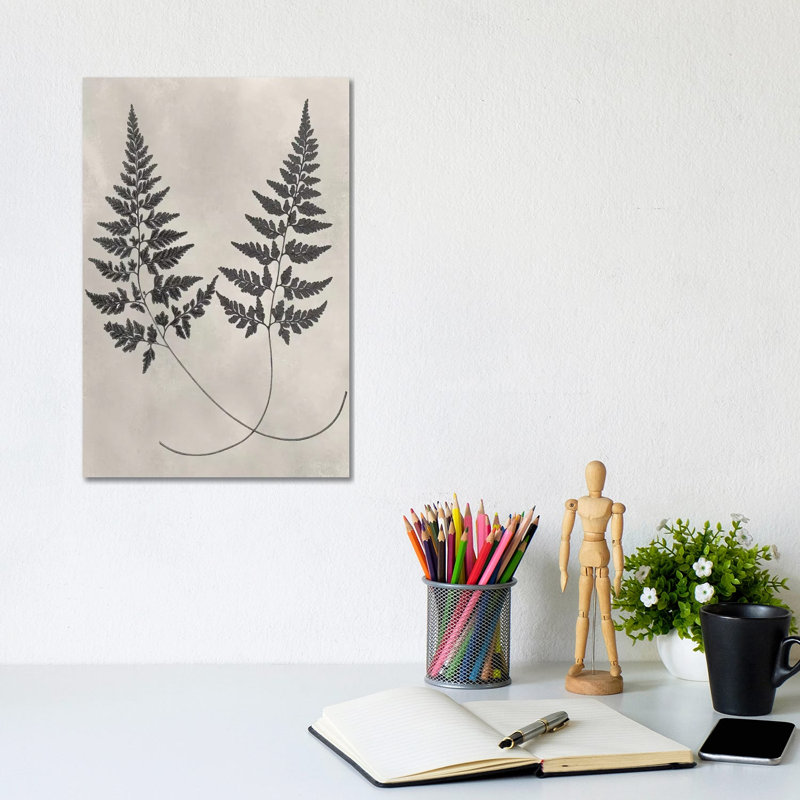 Vintage Fern Study I by Vision Studio - Wrapped Canvas Print, 20.32 cm H x 30.48 cm W
