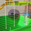 Très grande cage à hamster de 23 po de Pawhut avec tubes et tunnels, poignées de transport portatives, maison de rat et grande conception à 5 niveaux, cage à souris avec roue d'exercice, bouteille d'eau, plat à nourriture, vert
