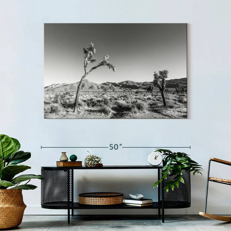Harnek Joshua Tree National Park, monochrome, H 32 po x l 48 po