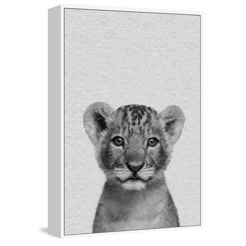 Smiling Cub - Floater Frame Print on Canvas, 61 cm H x 41 cm W x 4 cm D