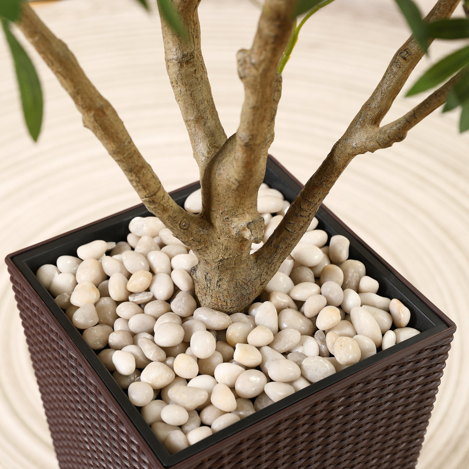 Adcock Olive Tree in Pot, 72" H x 24" W x 24" D, Brown
