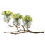 Porte-vase Twig 3 - nickel-22841095