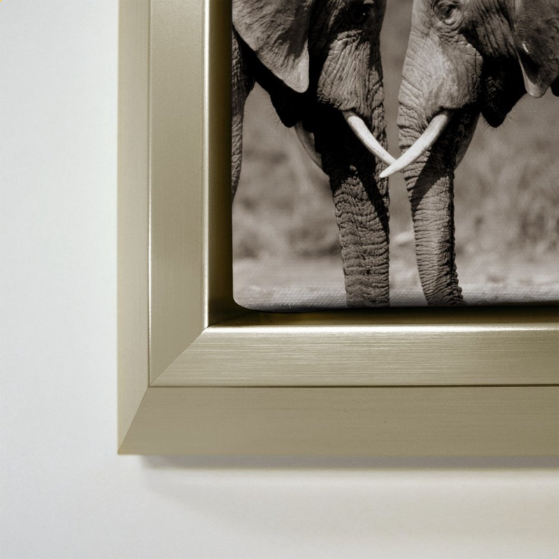 «Together is Better» par Danita Delimont - Impression sur toile, 34" H x 24" W, Champagne