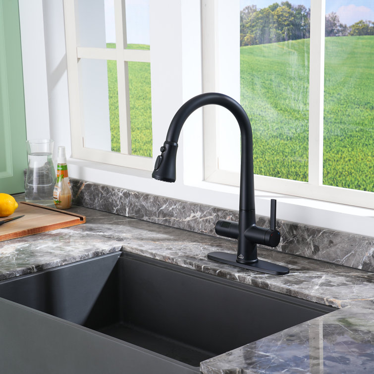 Willow 1.8 GPM Pull Down Kitchen Faucet with Deck Plate and Digital Display