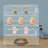 Clear Acrylic Display Case