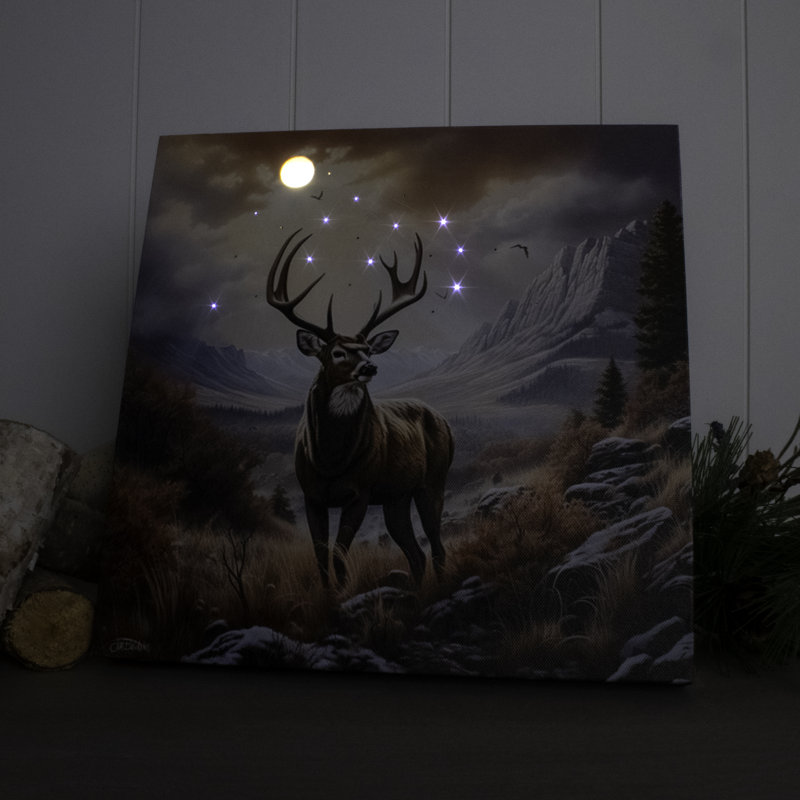 Fibre optique lumineuse 10 x 10 Majestic Buck