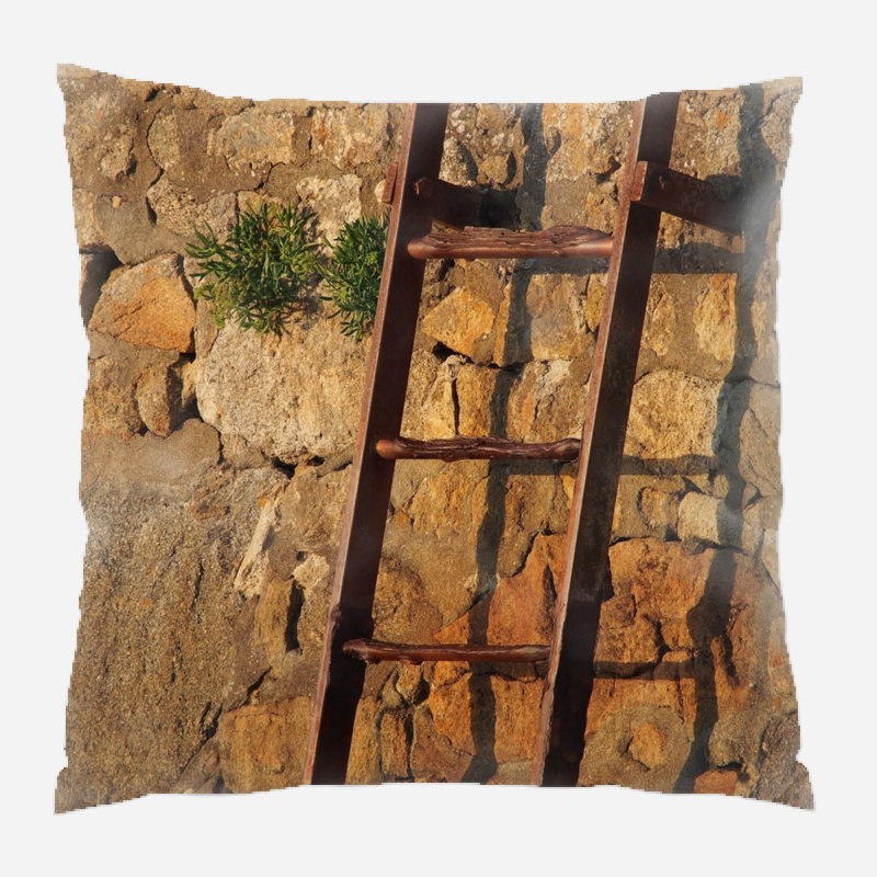 Shadow Throw Pillow