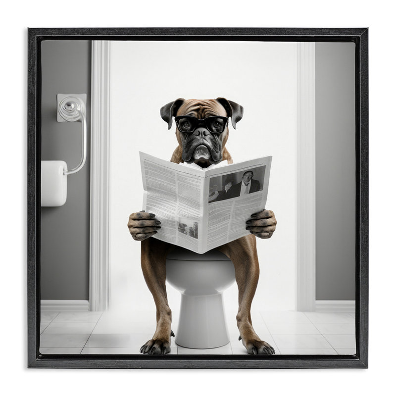 Boxer et journal, H 18 po x l 18 po, Cadre flottant noir de jais