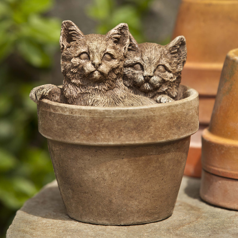 Sprouts Statue, Brownstone