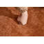 Chaise d'appoint moderne-1737178257