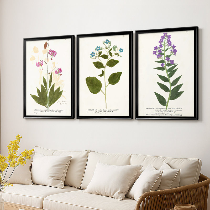 Nature imprimé Botanicals V - Toile tendue avec châssis sur mesure - 3 pièces, Noir, H 30 po x l 63 po