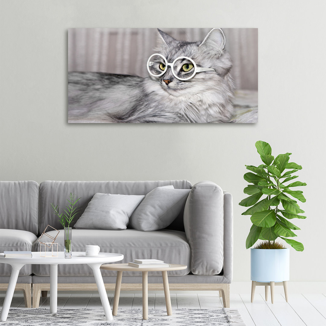 Leinwanddruck - Wandkunst - Drucke auf Leinwand - 100X50 Bildmotiv: Katze mit Brille