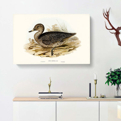 Freckled Duck by Elizabeth Gould - Wrapped Canvas