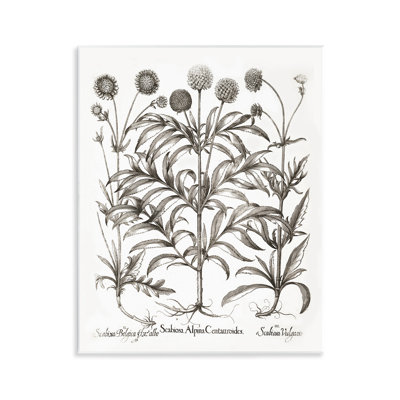 Art mural scientifique avec fleurs rétro