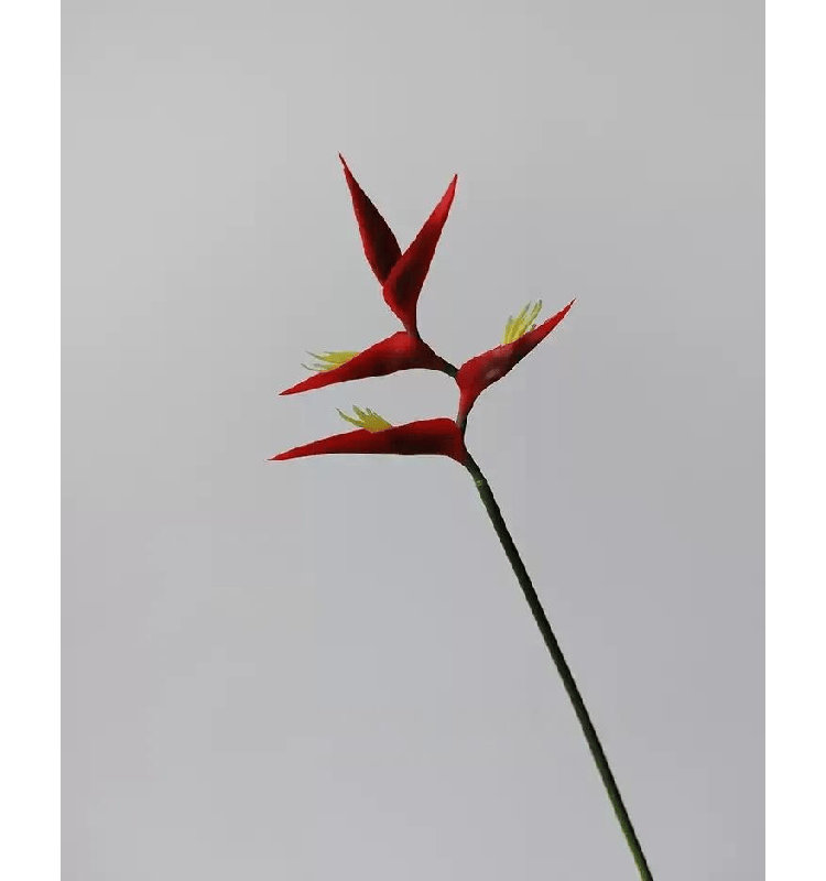 Tige d'héliconia tropicale - 32 po, [B] 3 tiges, Crimson Red