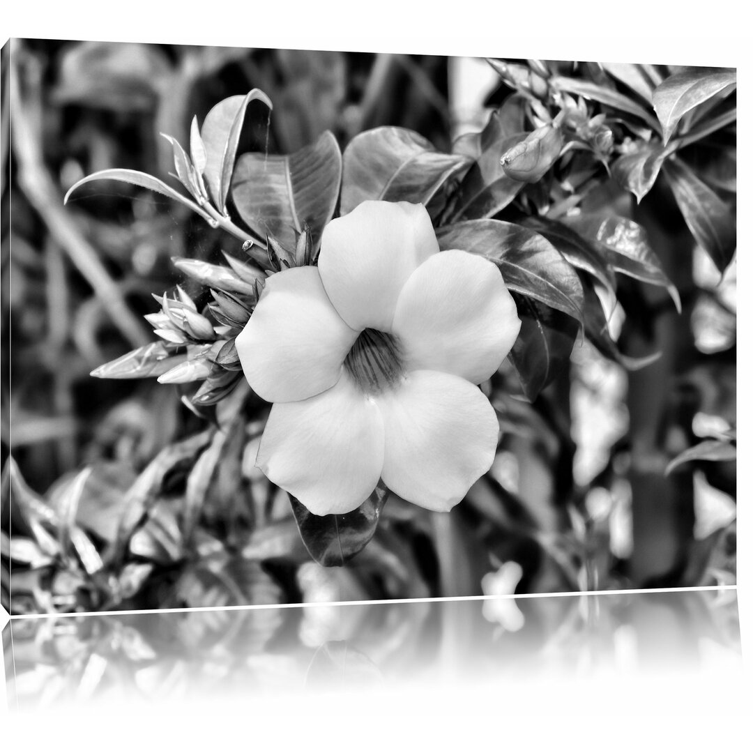 Leinwandbild Außergewöhnliche gelbe Blüte in Monochrom