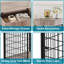 Dog House