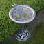 Bain d'oiseaux Wendling-1553776889